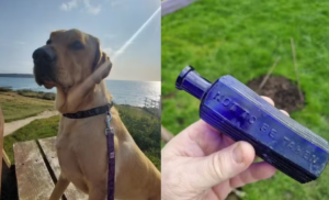 Cachorro encontra garrafa que pode estar ligada a crime de mais de 160 anos na Inglaterra