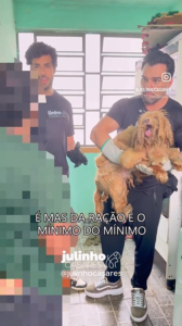 Cachorro é resgatado após anos de abandono na zona leste de SP