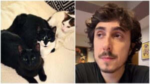 Felipe Castanhari Sofre Tragédia: Seus Gatos Envenenados por Dedetização