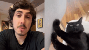 Felipe Castanhari relata morte de gato no aniversário: dedetizadora tóxica causa ironia trágica