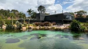 Felipe Titto Abandona TV e Conquista Mansão de R$ 30 Milhões com Empreendedorismo