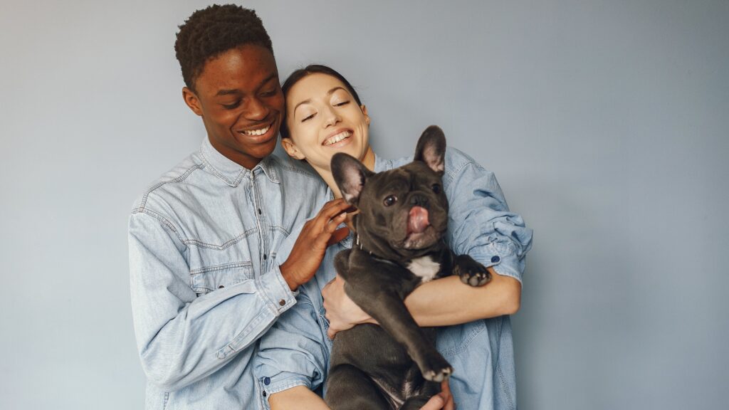 Divórcio de Pets: Nova Lei Define Guarda e Responsabilidade dos Bichinhos