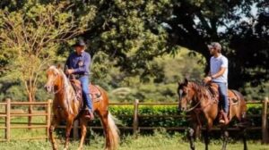 Lucas Silva: O Volante que Trocou o Gramado por uma Fazenda de Luxo