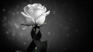 Miss Maiara Cristina falece aos 31 anos vítima de infarto fulminante