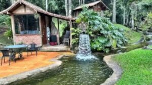 Marcello Novaes troca luxo da cidade grande por tranquilidade no campo aos 63 anos