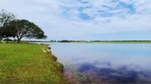 Marrone, aos 60 anos, revela imperio rural impressionante: fazenda milionária com mais de 35 mil hectares!