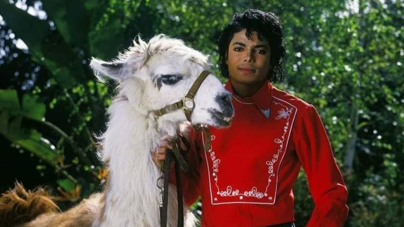 Michael Jackson e sua bizarra coleção de animais no Neverland