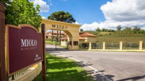 Miolo Conquista Certificação Carbono Neutro e Muda o Jogo da Produção de Vinho