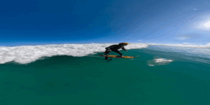 No Havaí, surfista cruza com tubarão-martelo de 2,5 metros e relata: “Tentei manter a calma”