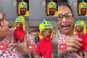 Snoop Dogg se diverte com look de pinscher feito por brasileira e repostou a criação