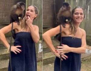 Macaco de filme com Ingrid Guimarães é investigado por maus-tratos e fraude