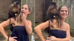 Polêmica com macaco: a treta judicial envolvendo Ingrid Guimarães e o filme Perrengue Fashion