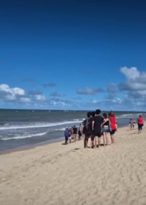 Ataque de Tubarão: Menino e Jovem Perdem Pernas em Praias do Recife