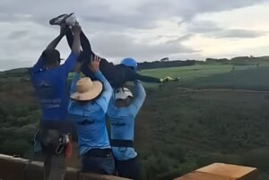 Tragédia no Brasil: Jovem morre em salto de bungee jump após erro fatal da equipe