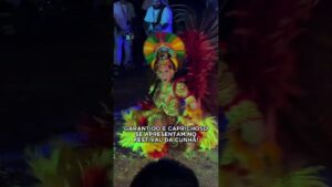 Festival de Parintins 2026: A Maior Festa da Amazônia Está Chegando!