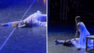 Gato invade palco de Romeu e Julieta, morde ator e estraga o final trágico da peça