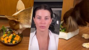 Isabeli Fontana oferece refeição de luxo para seus cachorros em hotel 6 estrelas