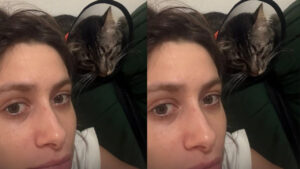 Luísa Arraes desabafa emocionada após cirurgia do seu gato