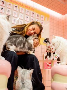 Paolla Oliveira aproveita férias em Shangai e cai na diversão de cat café