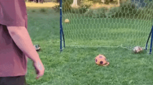 Ronaldo, o Cão Goleiro que Viralizou nas Redes