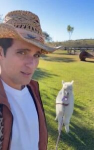Bruno Gagliasso surpreende filho com mini alpaca em aniversário memorável