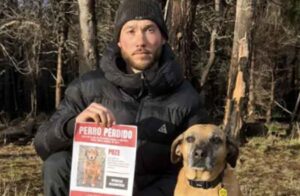 Cachorro frentista famoso na internet desaparece e donos fazem apelo ao público
