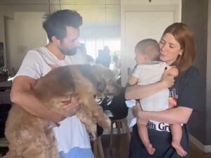 Dani Calabresa celebra o primeiro ano de Bernardo e emociona todo mundo na rede!