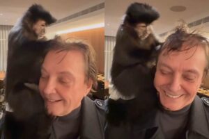 Fabio Jr. derrete seguidores ao aparecer com pet adorável