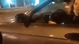 Labrador Corre Atrás de Carro Após Ser Abandonado e Internet EXPLODE de Raiva