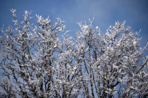 SP Bate Recorde de Frio em 2026 e Gela o Brasil Inteiro!