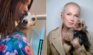 Os cãezinhos mais fofos dos famosos: Anitta, Xuxa e cia celebram Dia do Cachorro