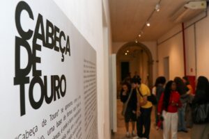 Exposição ‘Cabeça de Touro’ homenageia a icônica ceramista Celeida no RJ
