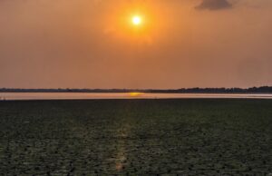Alerta! El Niño ‘Muito Forte’ Avança: Inmet Divulga Regiões Mais Afetadas no Brasil