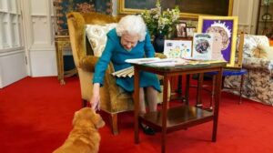 Os Corgis da Rainha Elizabeth 2ª Tinham Chef de Cozinha Particular!