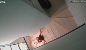Hendy Ohara sofre fratura grave na bacia após queda em escada