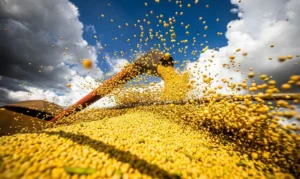 Produção agrícola do Brasil supera R$ 927 bilhões em 2025 com recorde de toneladas