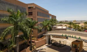 Anvisa proíbe caneta emagrecedora T36 vinda do Paraguai por questões de segurança