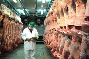 Cota de carne brasileira para a China pode se esgotar nos primeiros meses de 2027