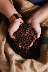 Exportações de café do Brasil disparam: crescimento de mais de 50% no início de setembro