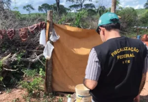Flávio Bolsonaro fica de fora de carta contra trabalho escravo; Lula e Caiado aderem