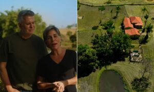 Fazenda de Glória Pires e Orlando Morais vira condomínio loteado em Goiás