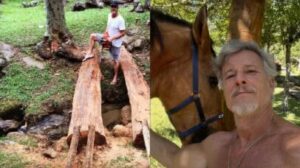 Marcello Novaes transforma sítio em Teresópolis com piscina de ondas artificiais