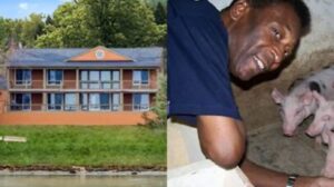 Pelé deixou fazenda de 700 hectares para a família no interior de SP