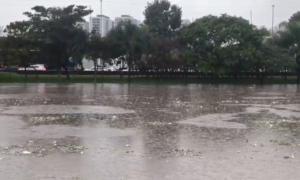 Rio Tietê Assusta São Paulo: Quase Transborda Após Chuvas Torrenciais!
