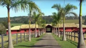 Simone Mendes impressiona com fazenda de luxo e lago privativo em São Paulo