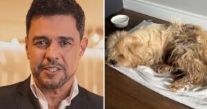 Zezé Di Camargo adota cachorro e homenageia pai com o nome