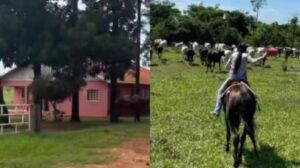 Ana Castela: da fazenda de gado ao topo das paradas, a história da Boiadeira que conquistou o Brasil