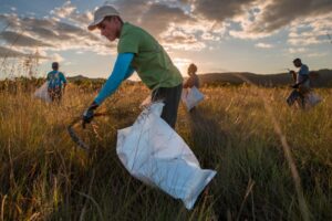 Brasil atinge recorde: menor desmatamento da história na Amazônia e Cerrado