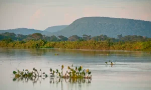 Cerrado perde 13,9 milhões de hectares em margens de rios entre 1985 e 2025