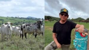 Chitãozinho: o sertanejo que trocou os palcos por uma fazenda gigante no interior de Goiás